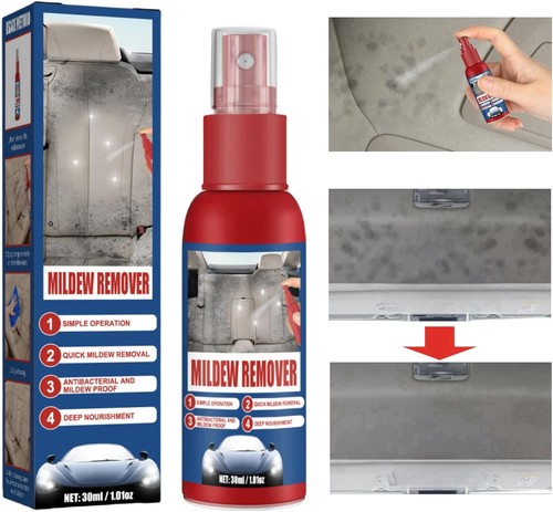 Car interior mould cleaning - car,